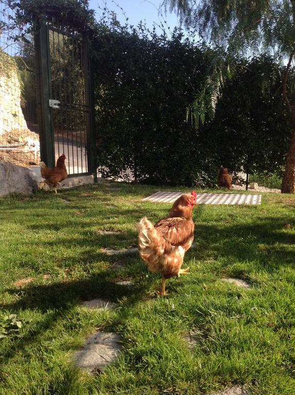 Agriturismo Da Lui Bordighera Exterior photo